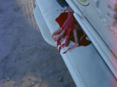 vlcsnap-2015-09-26-15h02m09s194