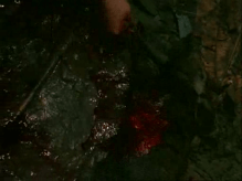 vlcsnap-2015-09-29-19h00m37s30