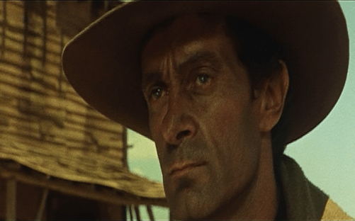 vlcsnap-2015-12-08-17h50m19s275