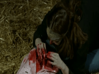 vlcsnap-2015-12-29-18h07m40s153