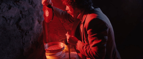 vlcsnap-2016-11-19-11h33m23s722