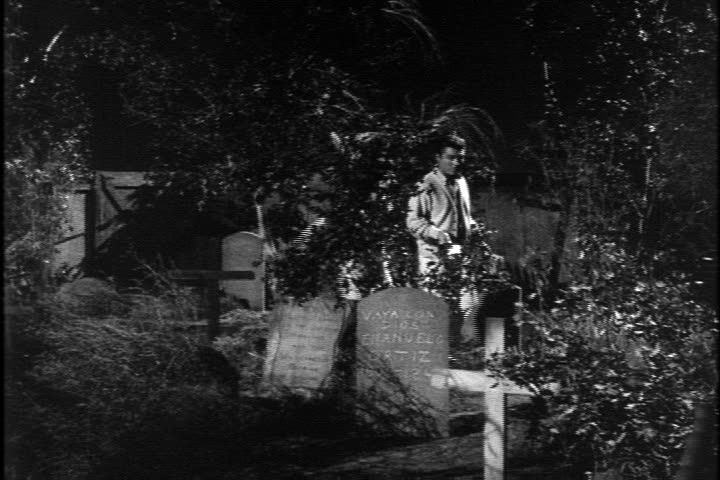 vlcsnap-2016-12-08-15h20m52s556