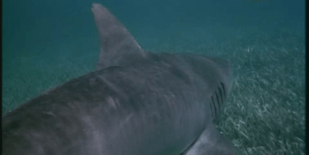 vlcsnap-2017-01-10-13h10m22s198