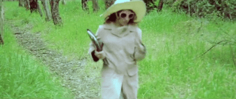 vlcsnap-2018-02-27-10h41m11s447